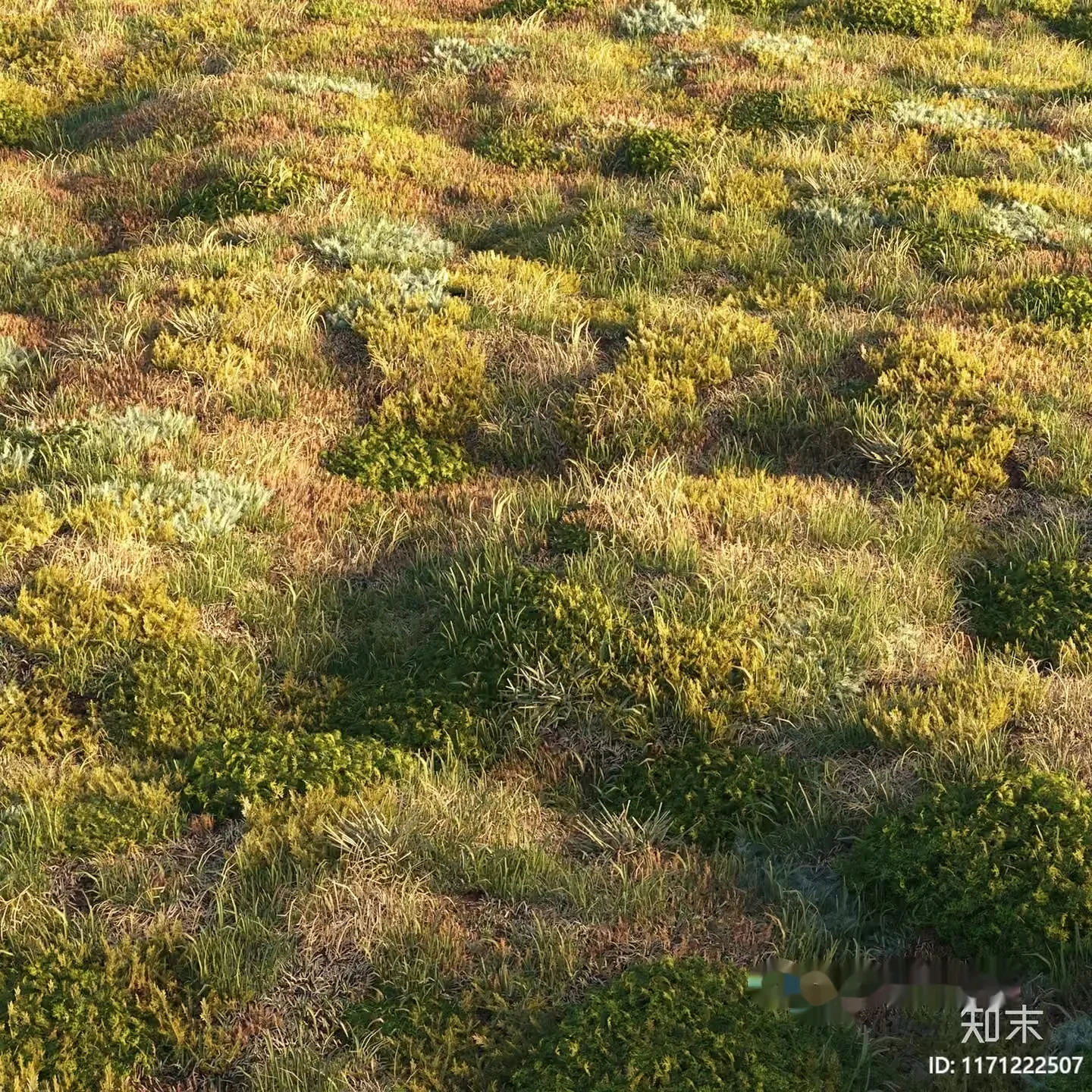 A Grassy Field 3D Model – 5579 – CORONA Render