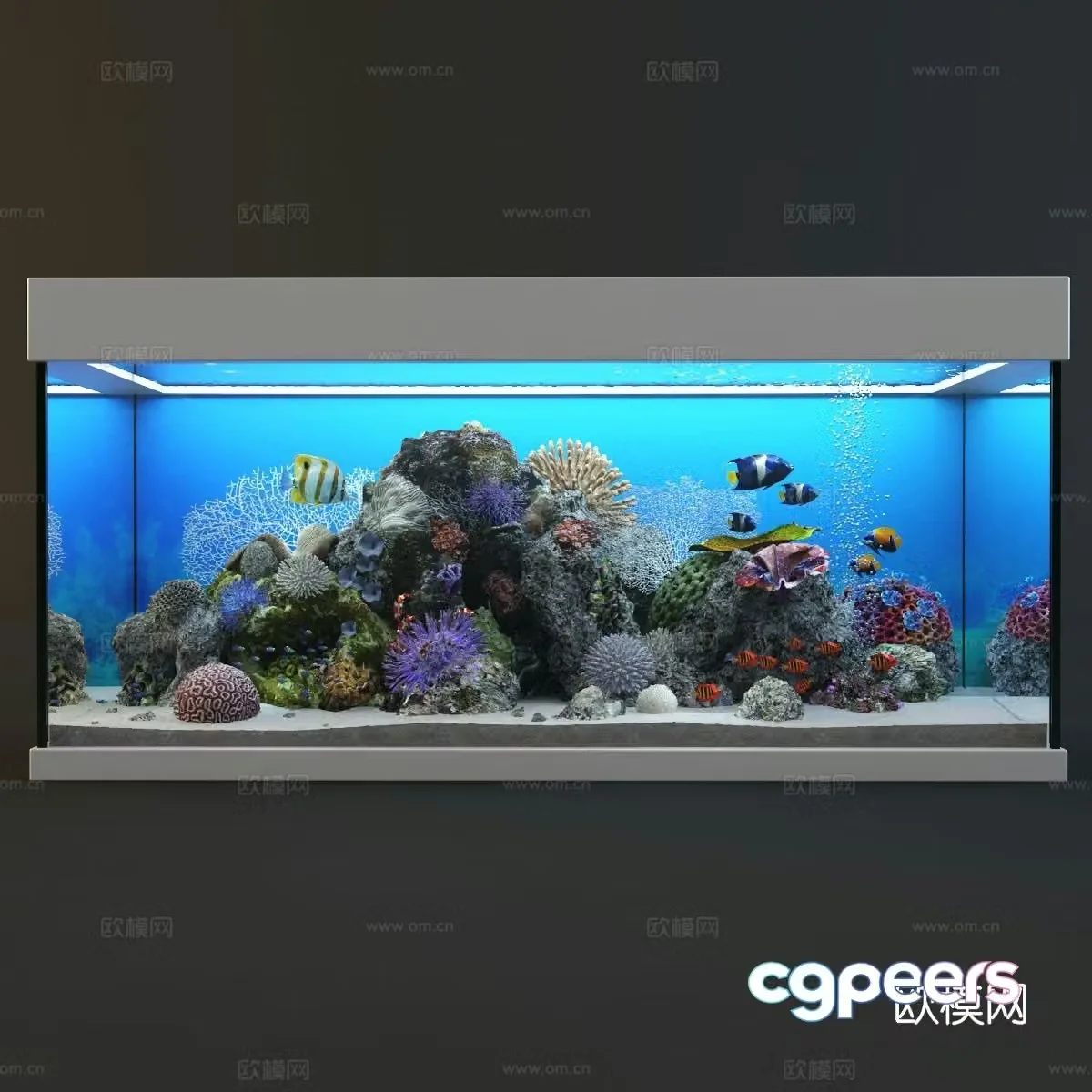 fish tank aquarium 3d model