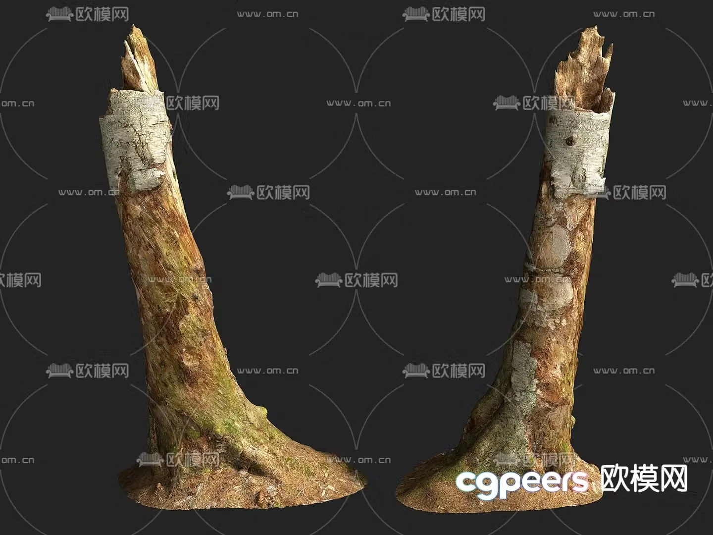 Wood Stump Firewood Decayed Wood 3d Model
