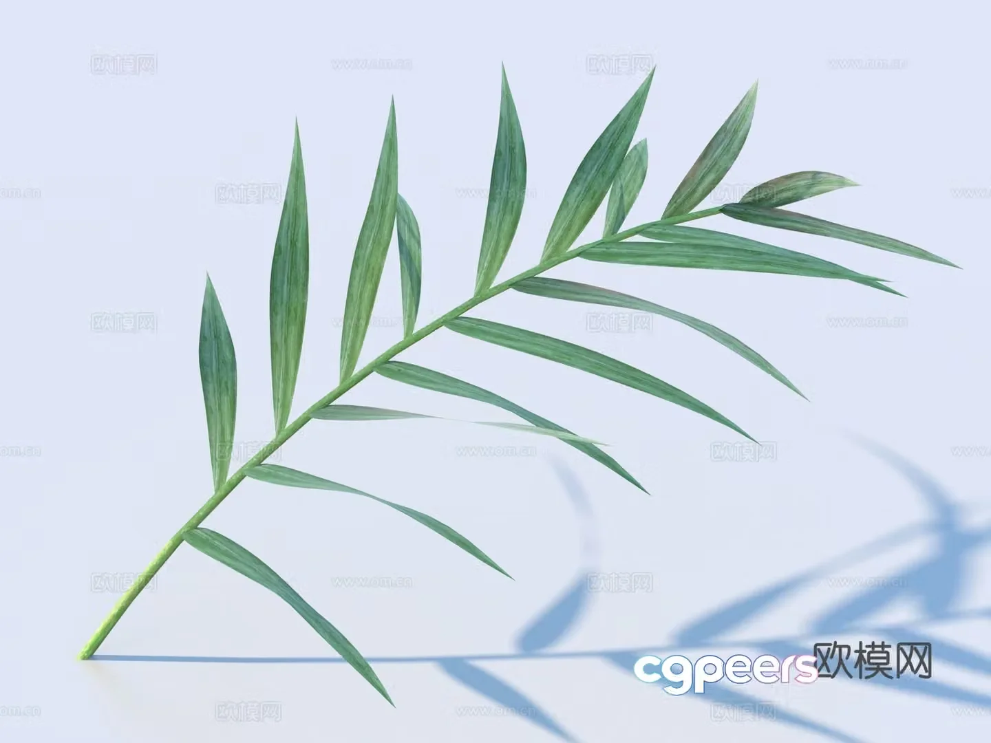 vegetables leaves leaves food 3d model