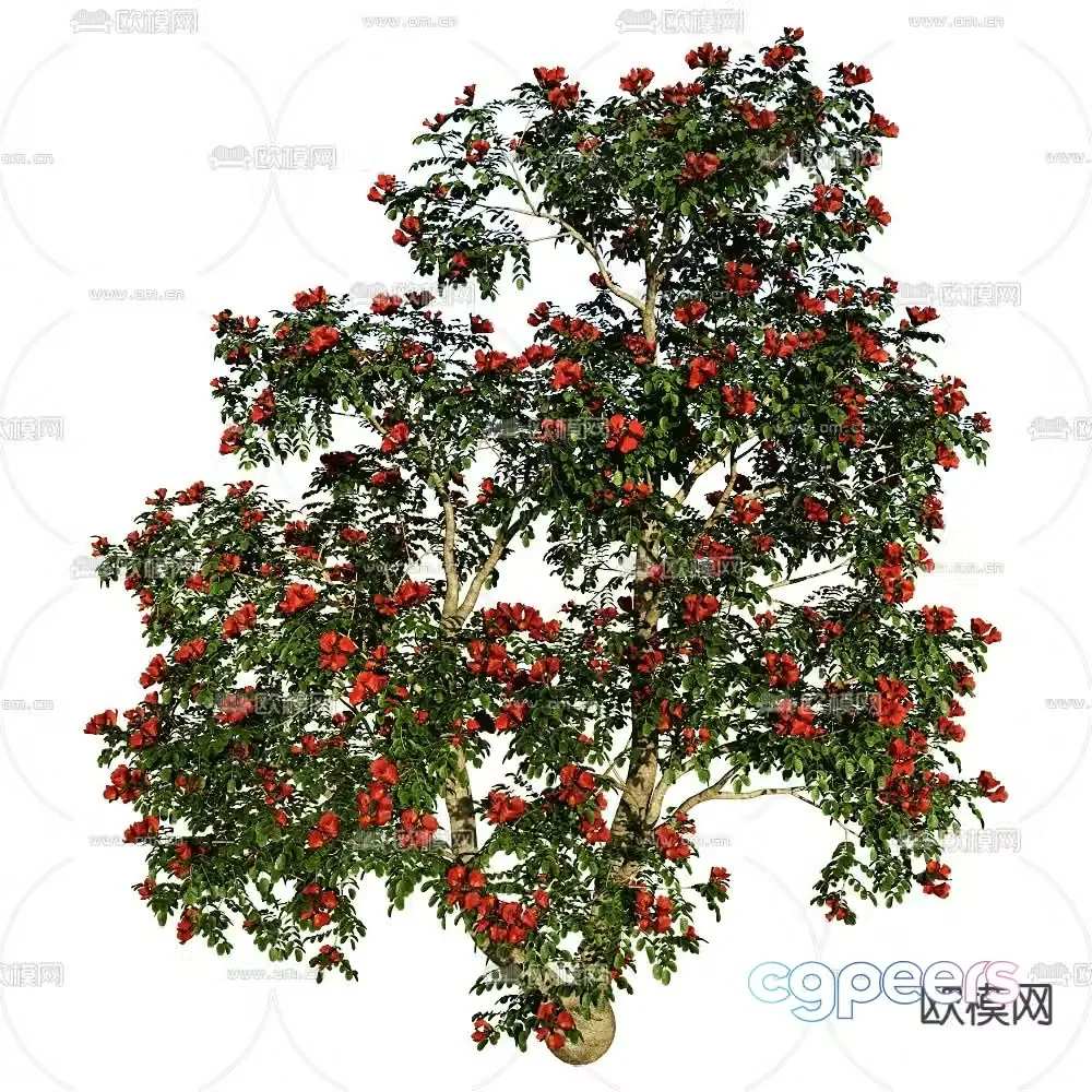 Flower Tree Landscape Tree Ornamental Tree 3D Model