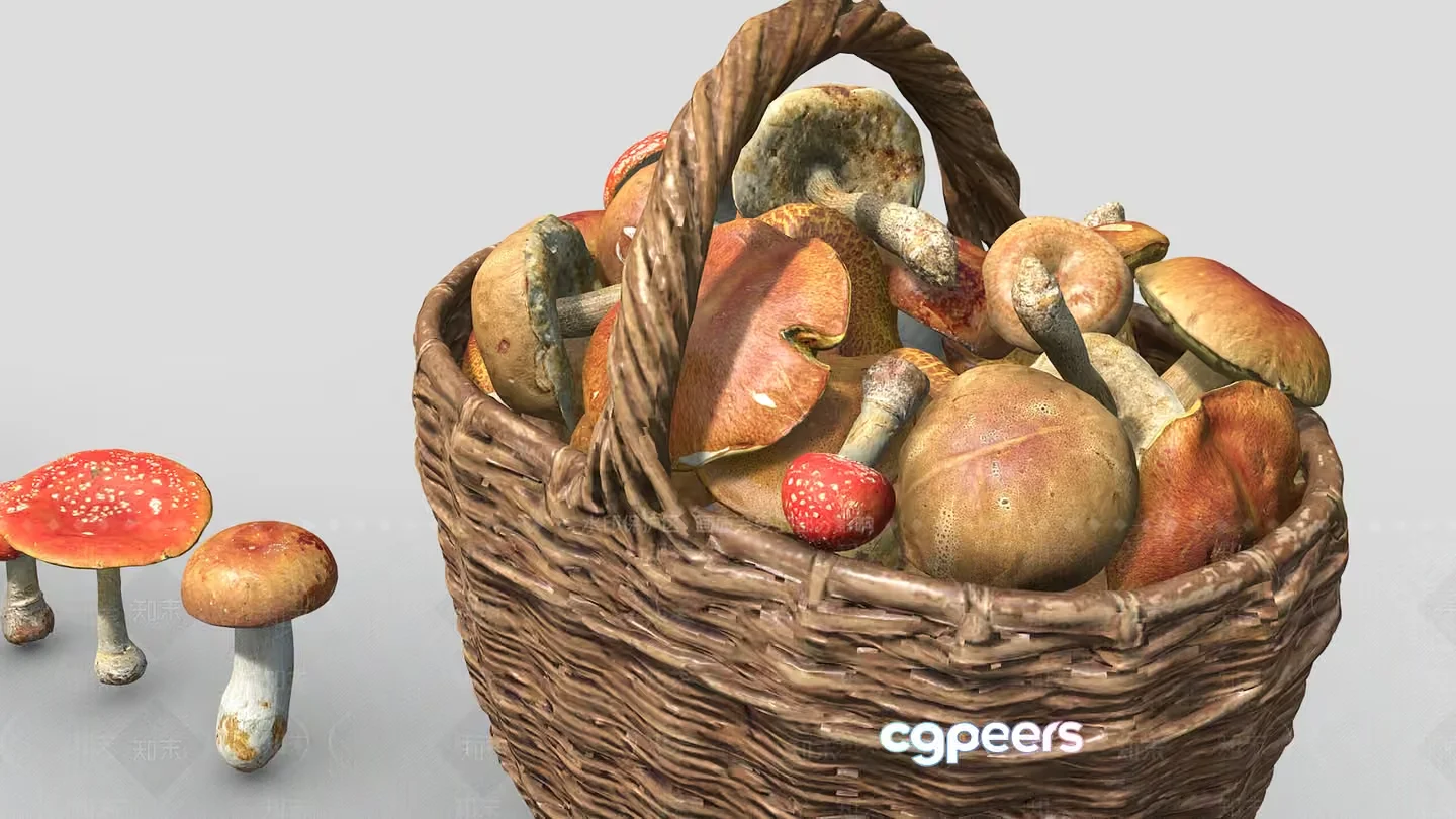 A Basket Of Mushrooms 3D Model – 16034 – VRAY Render