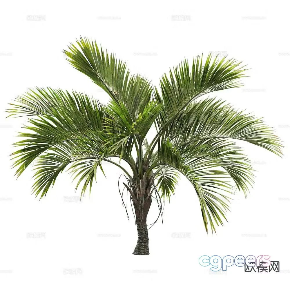 Modern Tree Landscape Tree Shrub Plant 3D Model