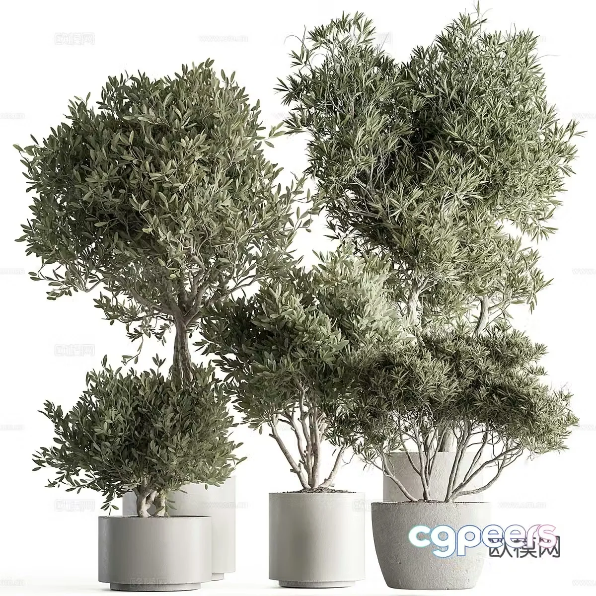 Green plant potted plant 3d model