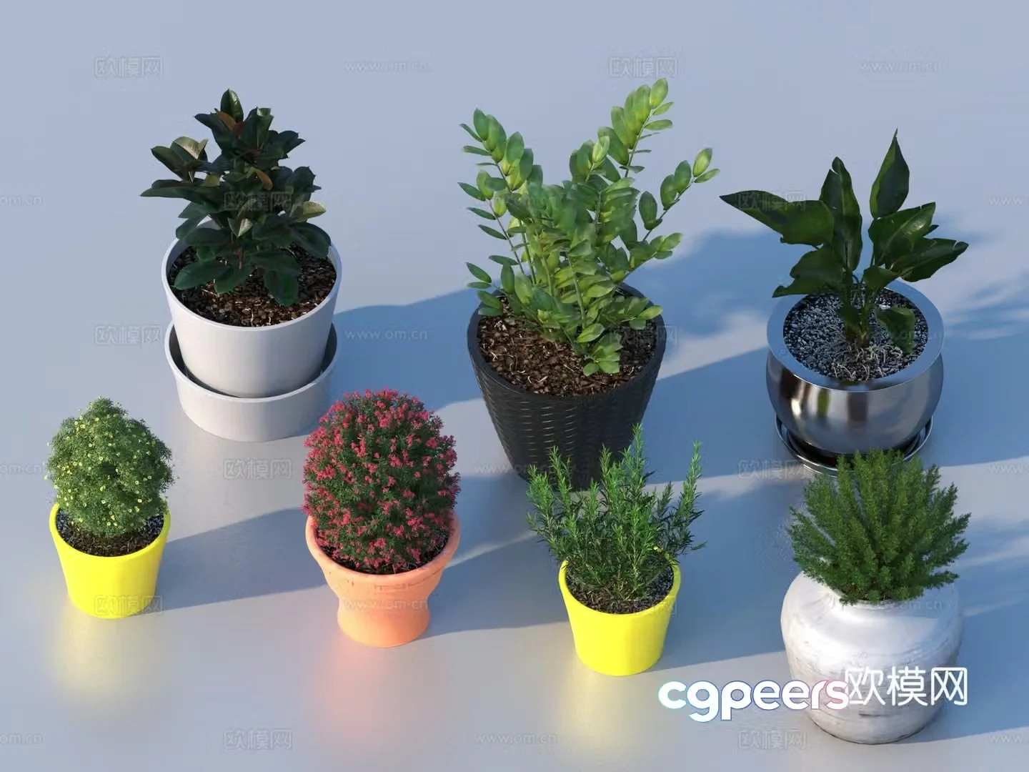 flowerpot potted plant green plant plant 3d model