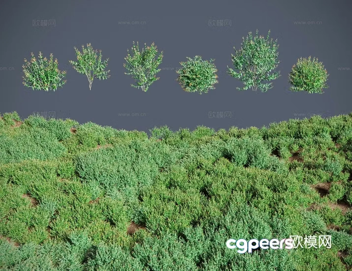 Modern landscape tree shrubs balls and flowers drunk fish grass closed fish flower itch fish tail grass 3d model