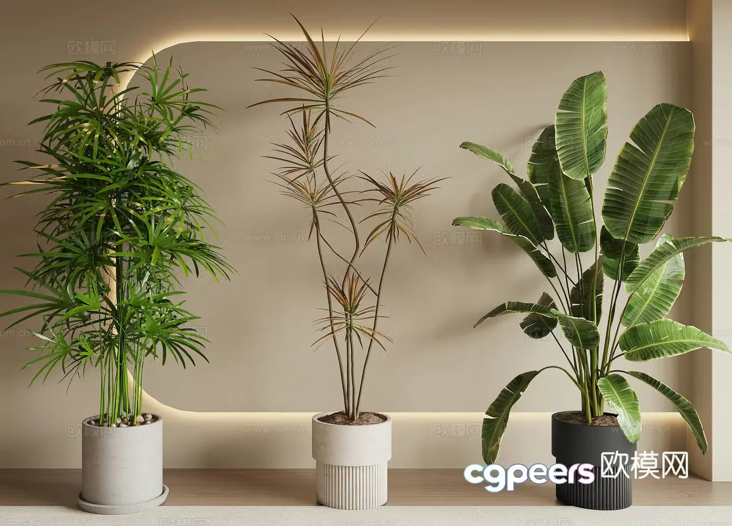 Modern green plant potted 3D model