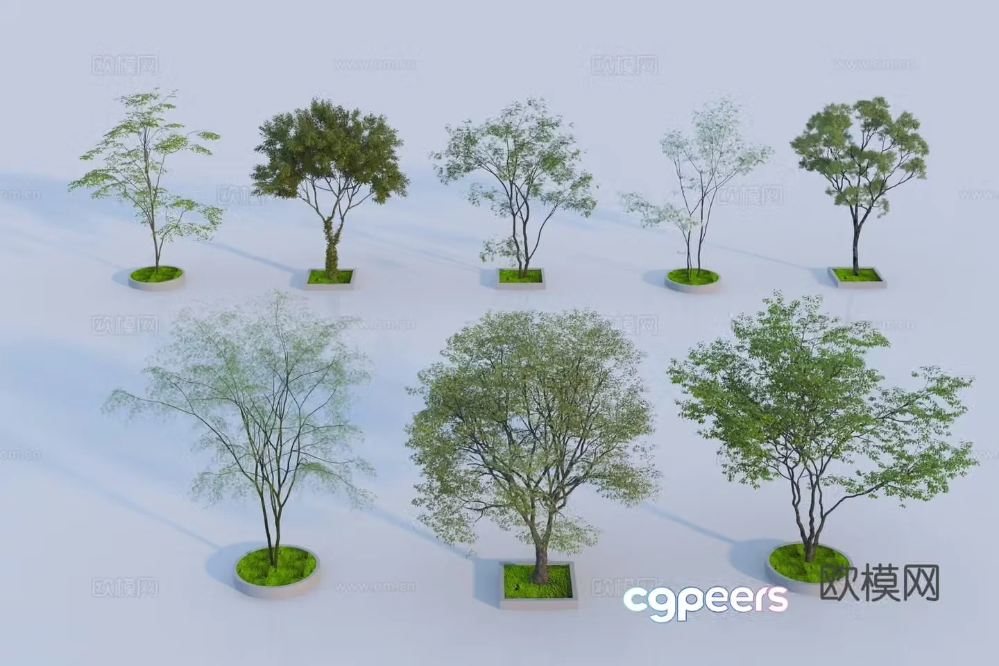 Modern landscape tree 3d model