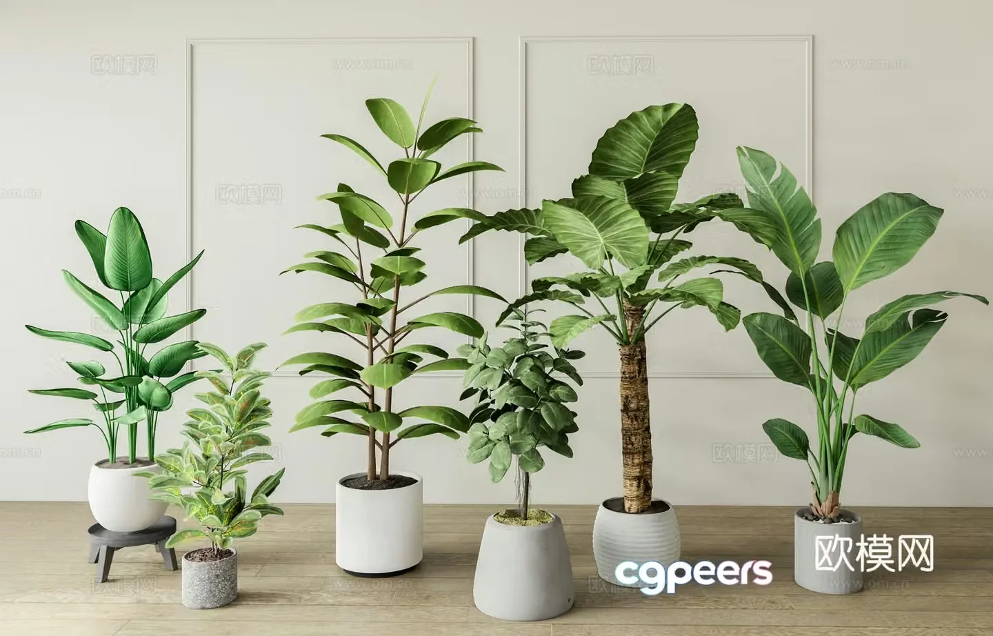 Modern plant potted 3D model