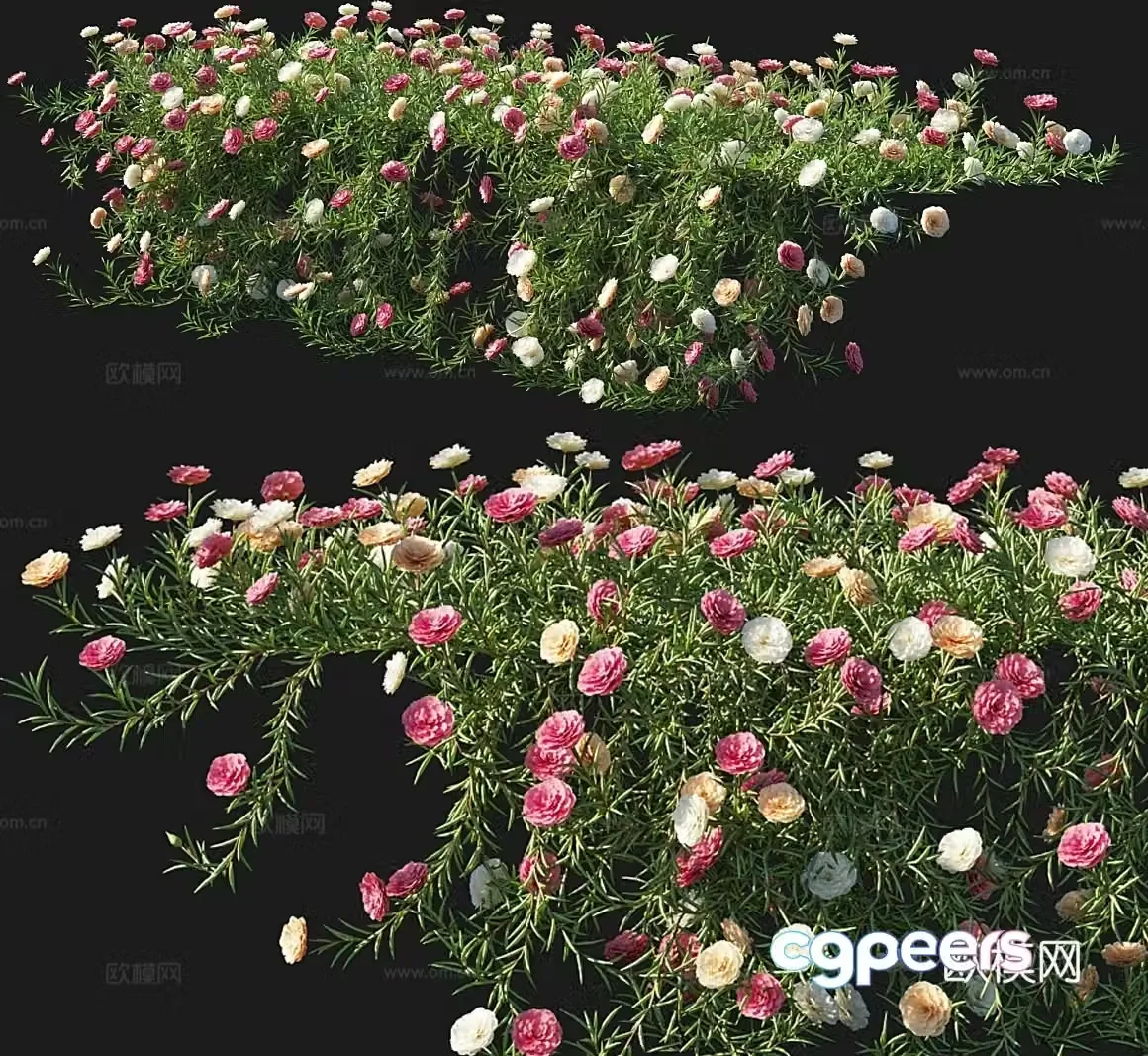 sunflower flower 3d model