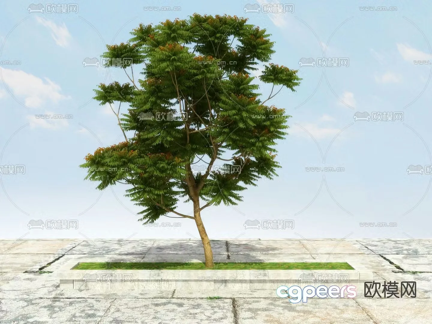 Herbs Tree Toon Tree 3D Model
