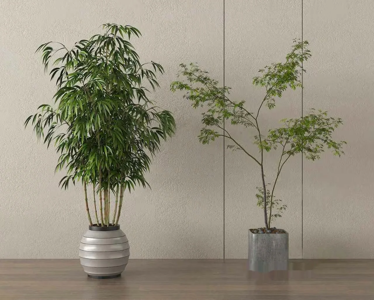 Two Potted Plants 3D Model – 20680 – VRAY Render