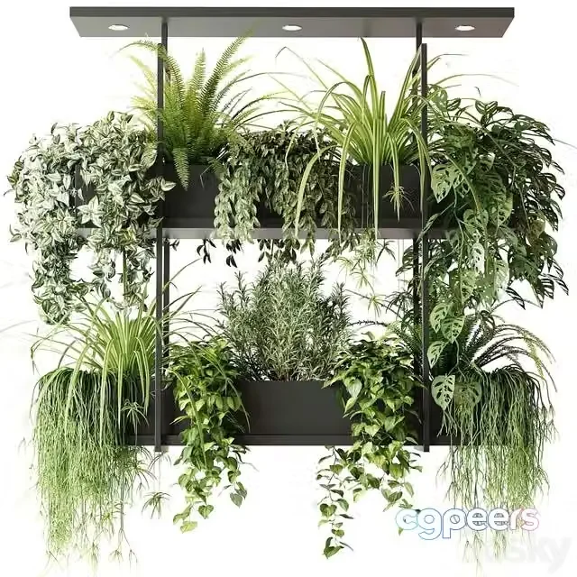 3ds Max Free – Hanging plants, indoor plant, hanging plants OSLO