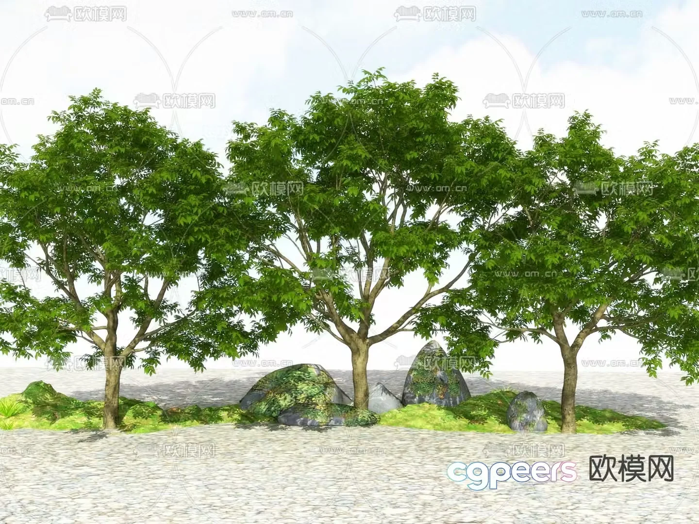 Landscape tree Street tree Big tree Tree Tree 3D model
