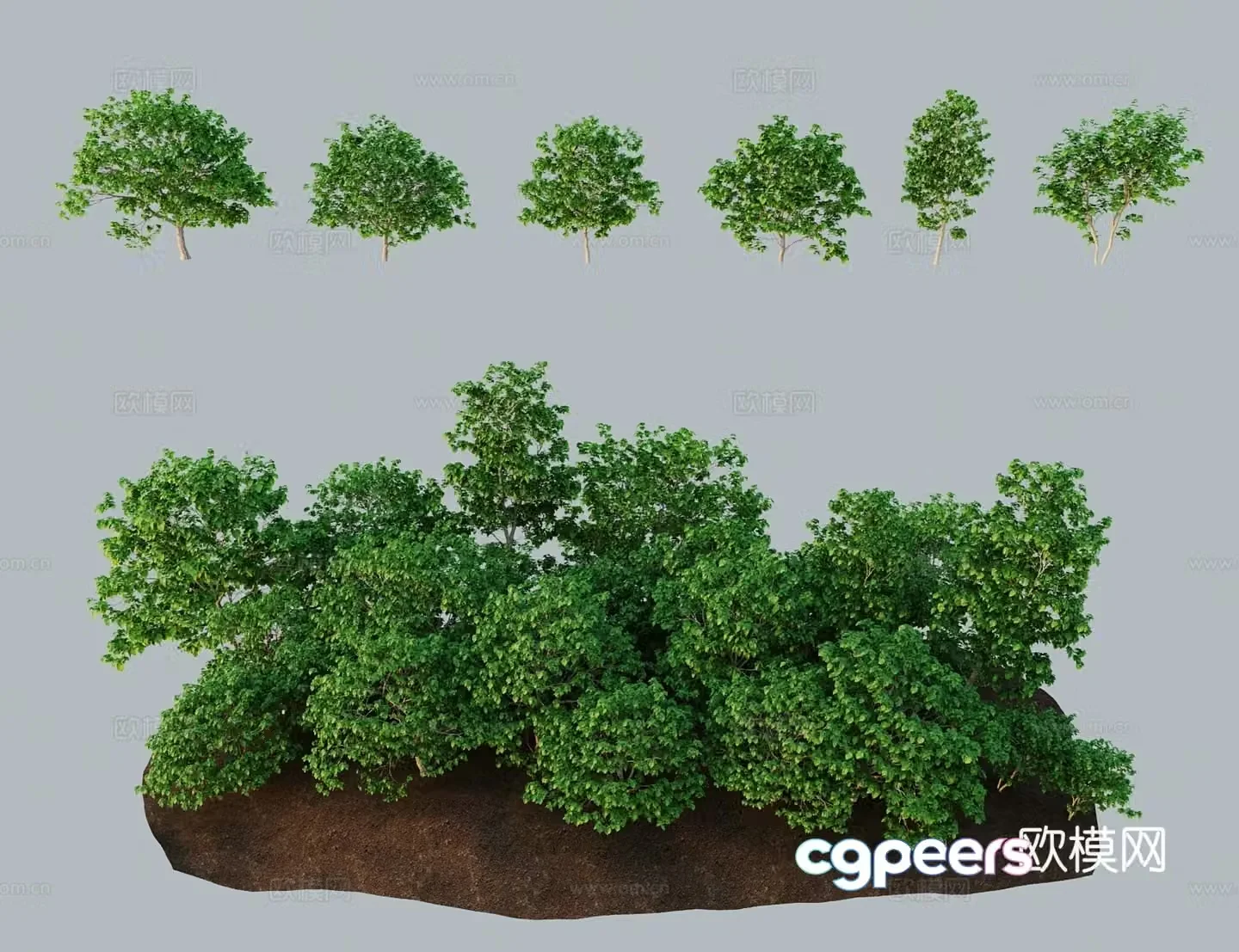 Modern tree landscape tree American Catalan tree Rowan Water Tung River Rowan Water Tung Pao 3D model