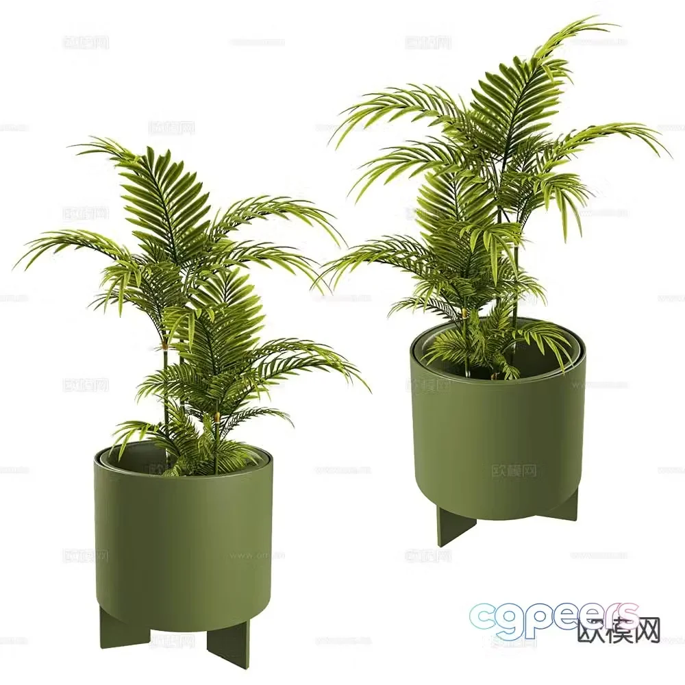 Modern potted plants bonsai green plants 3d model