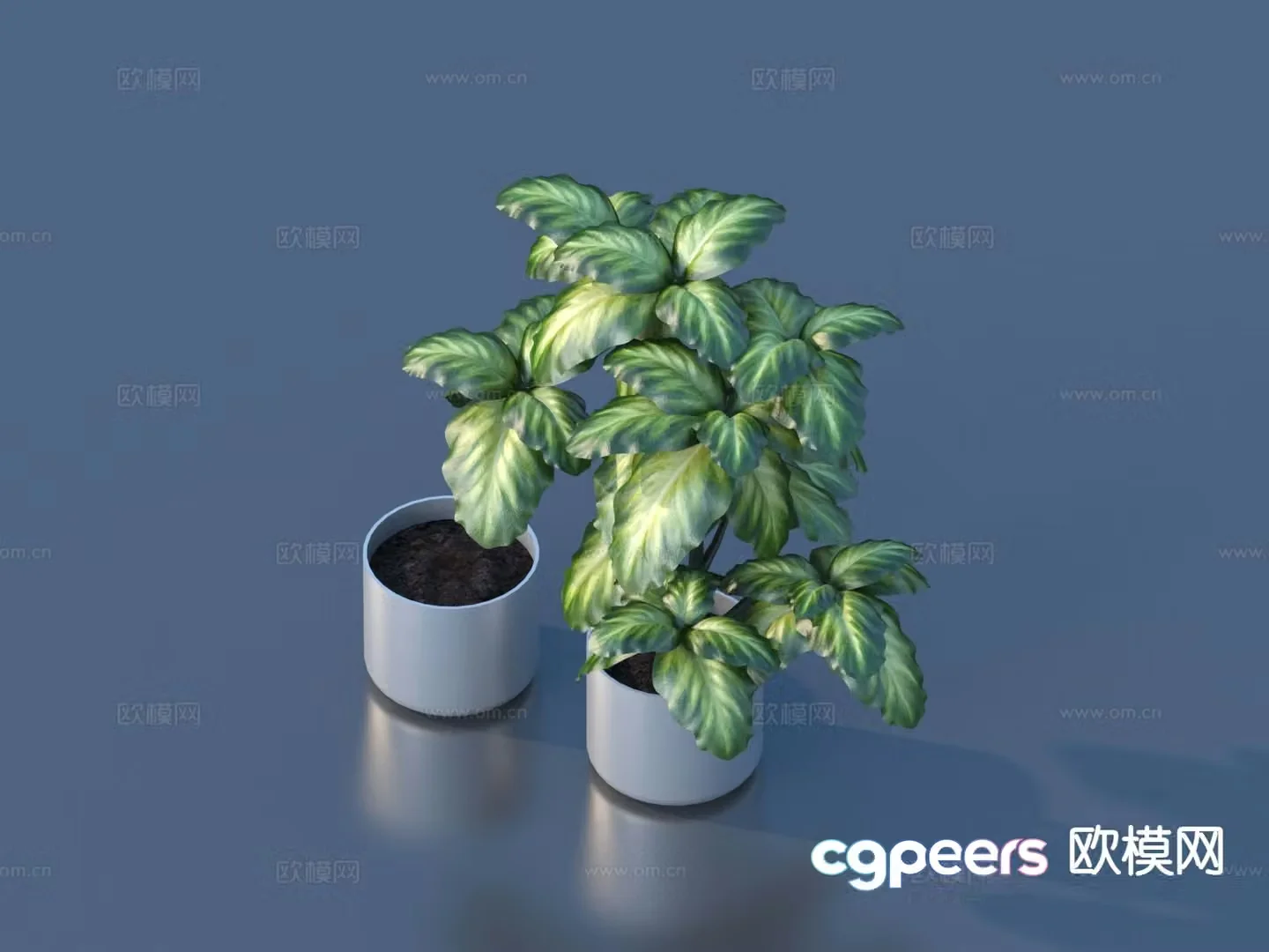 Flower pot pot green plant 3d model