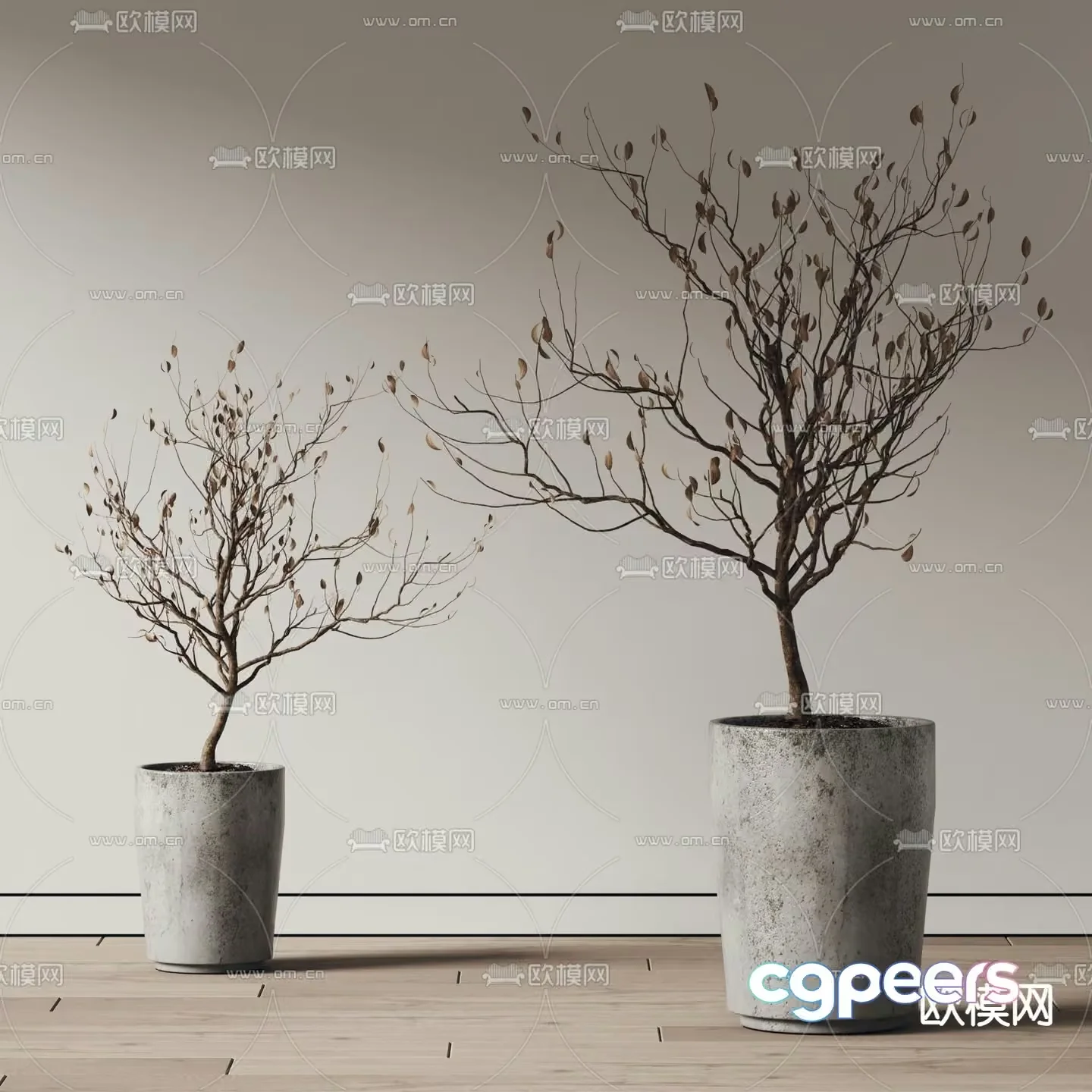 Two Potted Plants 3D Model – 10345 – VRAY Render