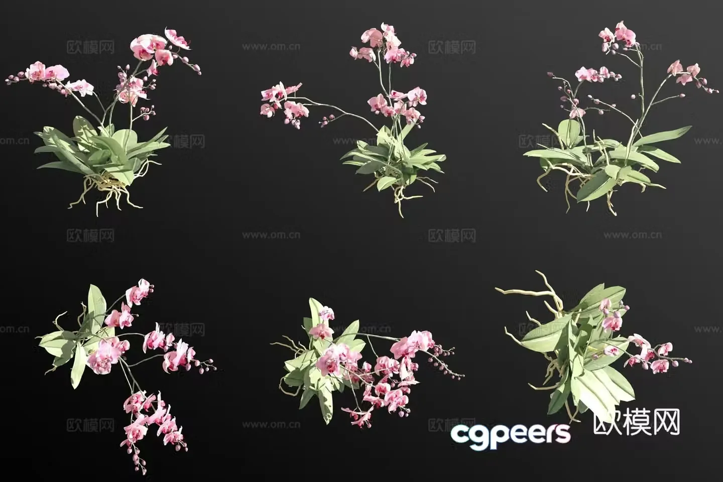 Orchid butterfly orchid grass 3d model