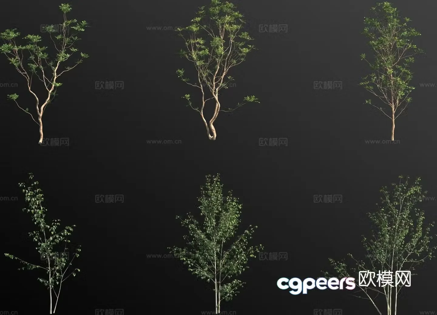 landscape tree arbor trees small tree 3d model