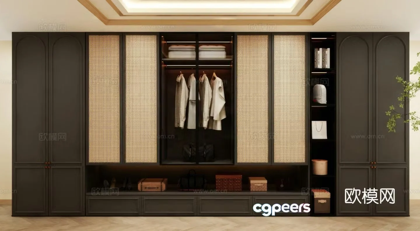 Wardrobe design Wardrobe renderings Wardrobe wardrobe design Wardrobe cabinet 3d model