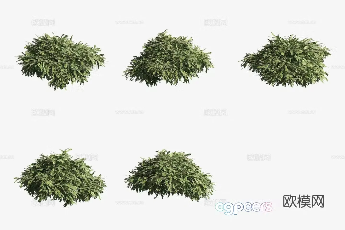 Aquatic plants Emerald Moss aquatic plants 3D model
