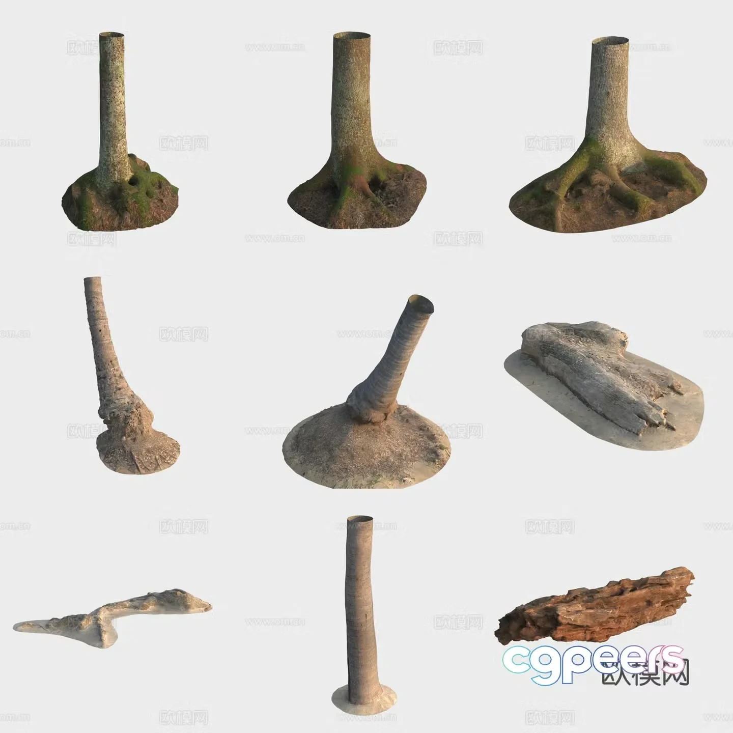 3d model of trunk branches stump