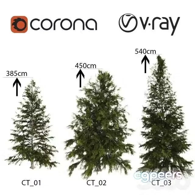 3ds Max Free – 3 Spruce