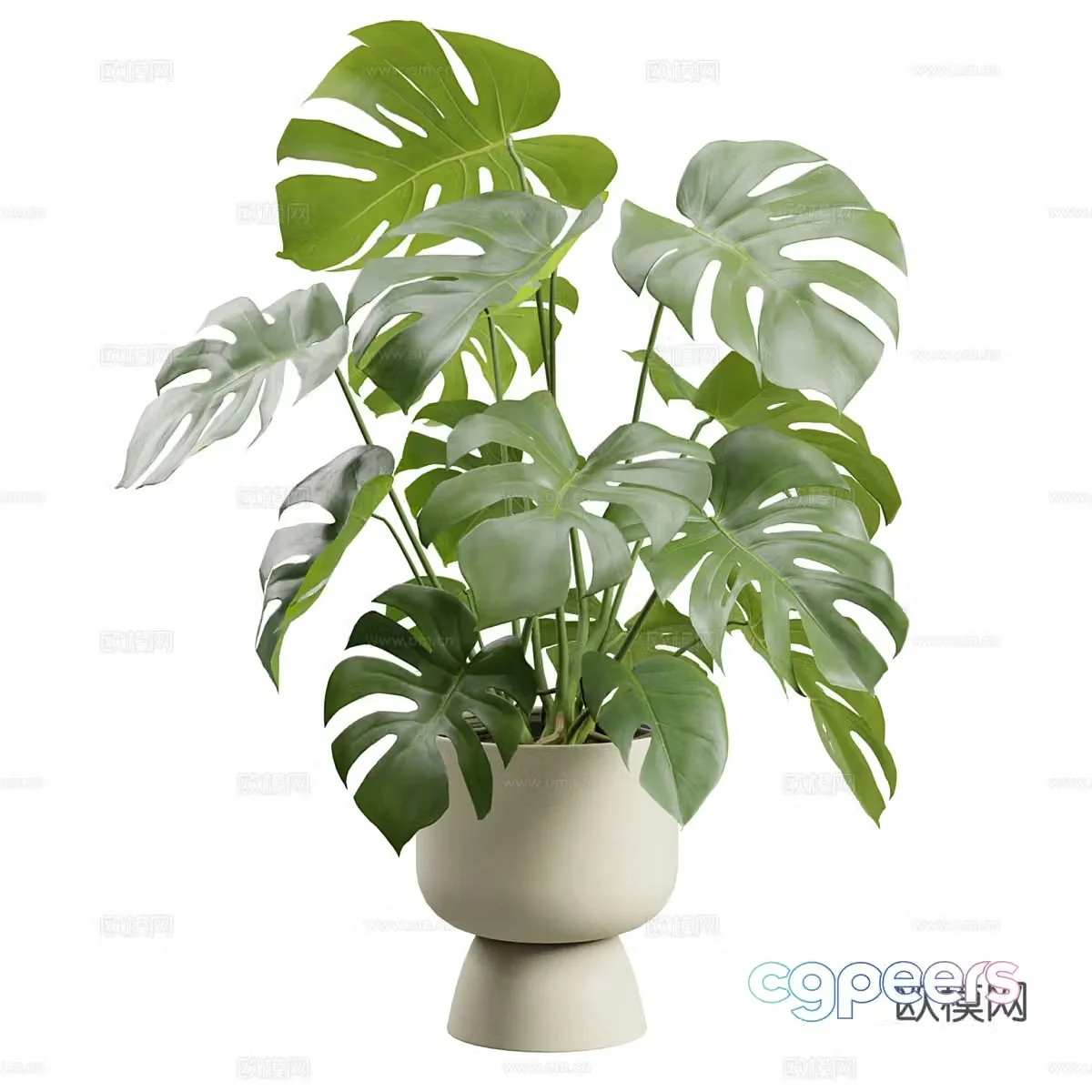 Modern cream style green plant potted 3D model