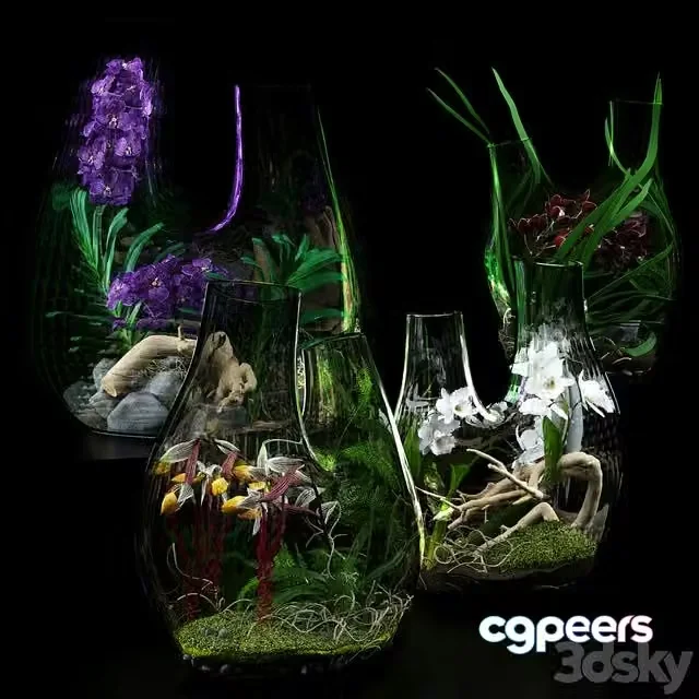 3ds Max Free – Terrarium vases with Orchids