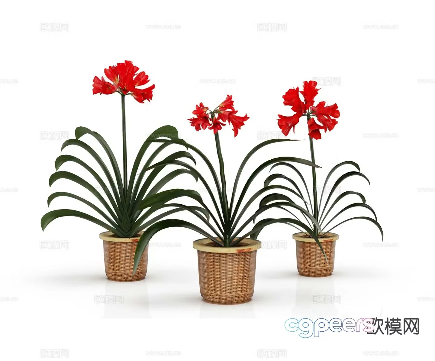 Modern potted plant flower pot flower 3d model