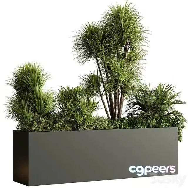 3ds Max Free – Plant Box – Outdoor Plants 580