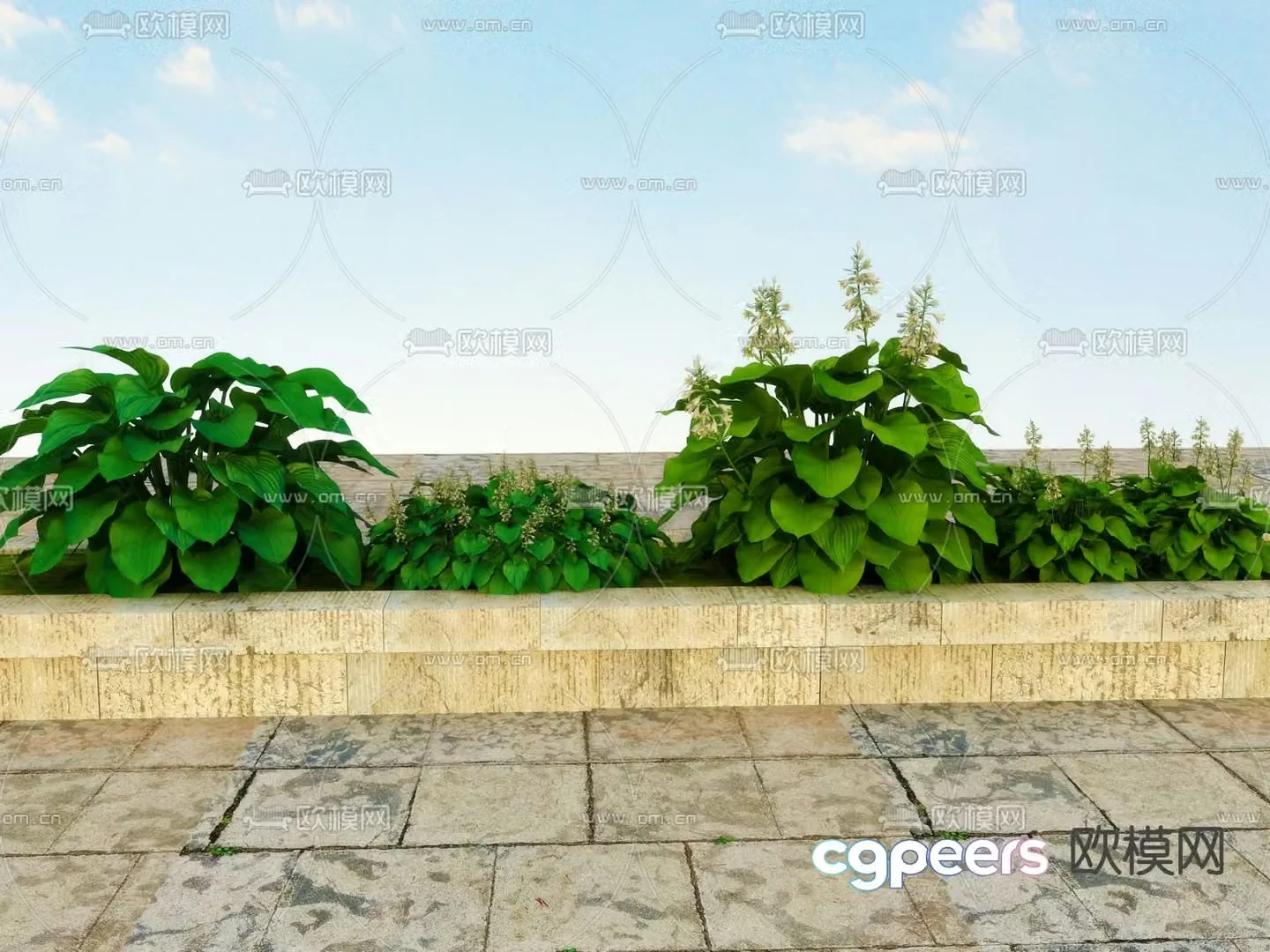 Flowers and plants Landscape plants 3d model