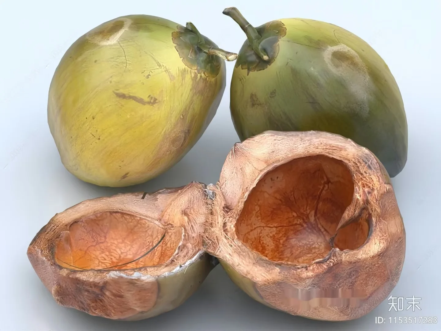 Coconuts 3D Model – 13668 – VRAY Render