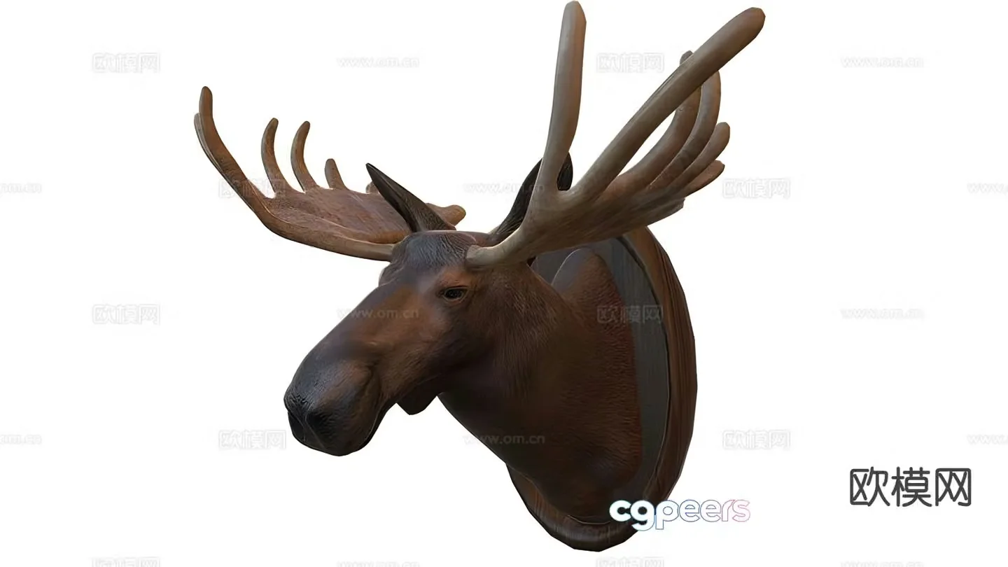 Moose head wall decoration taxidermy 3d model