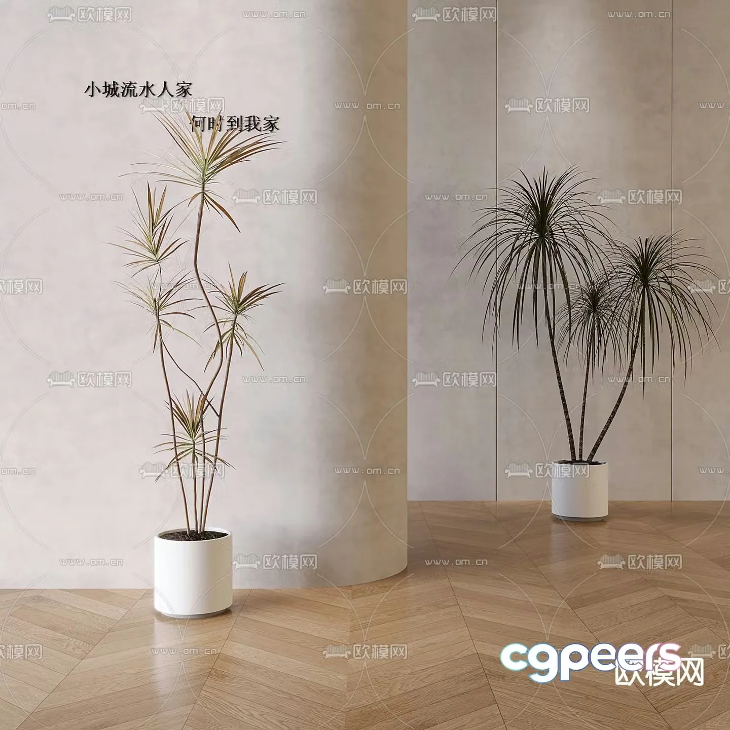 Potted plants Bonsai Green plants 3D model