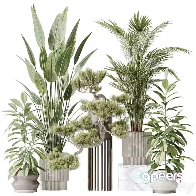 3ds Max Free – Indoor plant set 31
