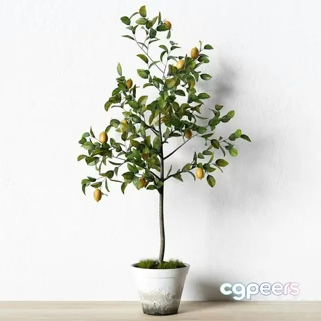 3ds Max Free – Plant_003