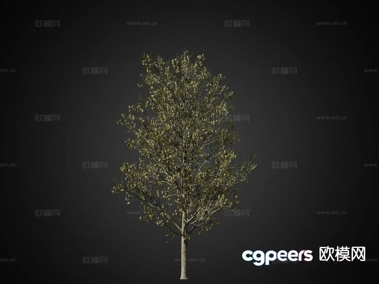 Autumn trees Landscape trees Trees 3d model