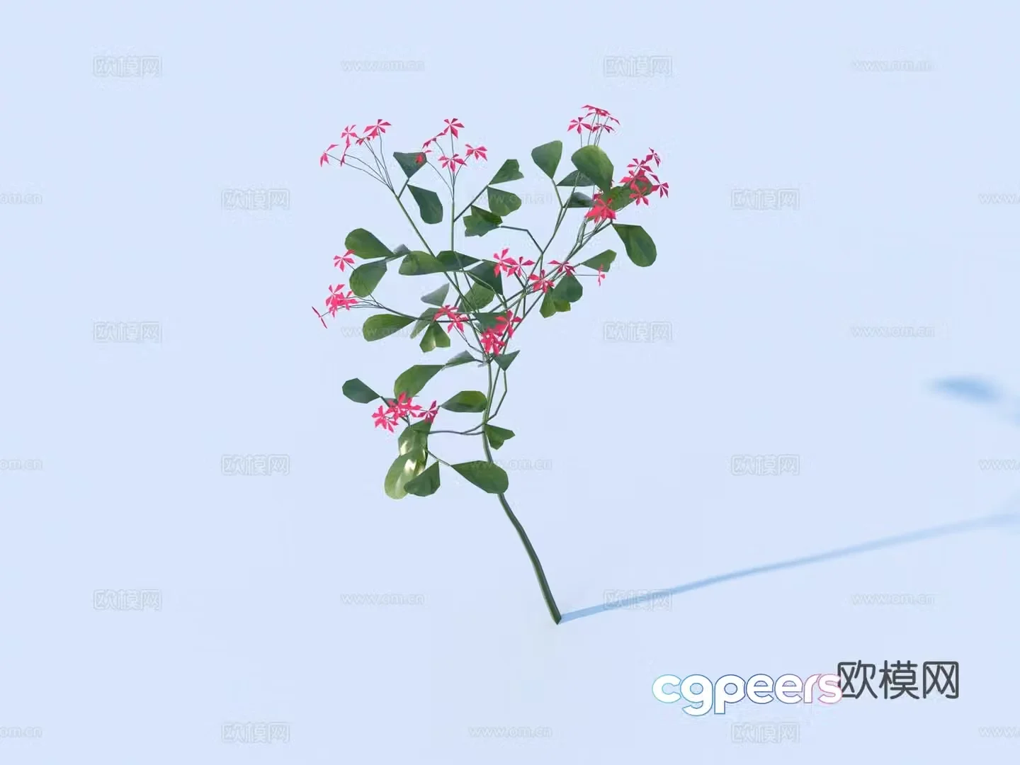Flowers Wild Flowers Green Plants Flowers 3D Model