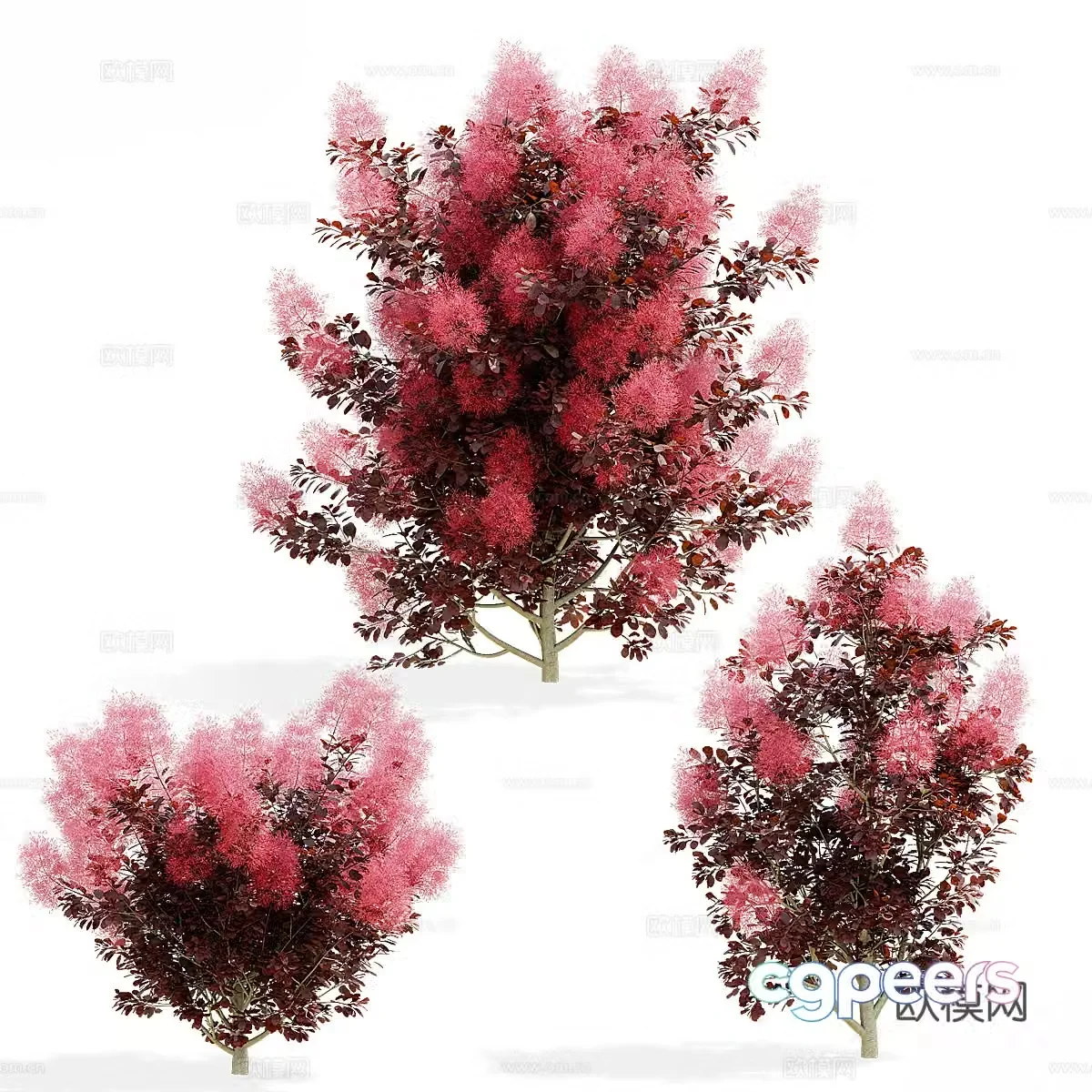 3d model of bush