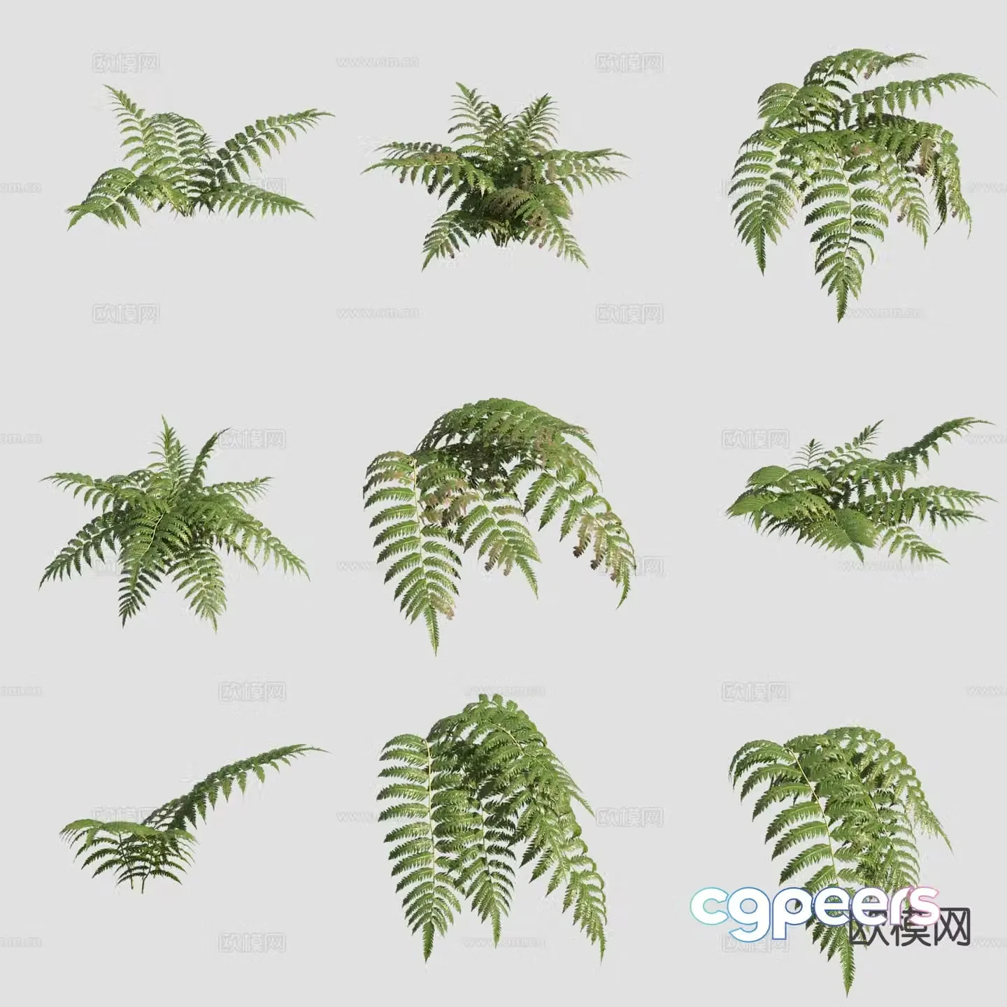 Golden Dog Feather Golden Retriever Dog Ridge Flowers and Plants 3D Model