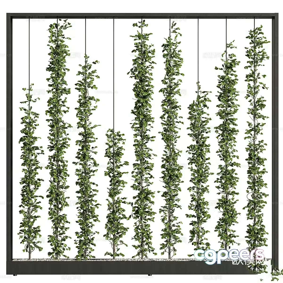 Plant wall green plant wall 3d model