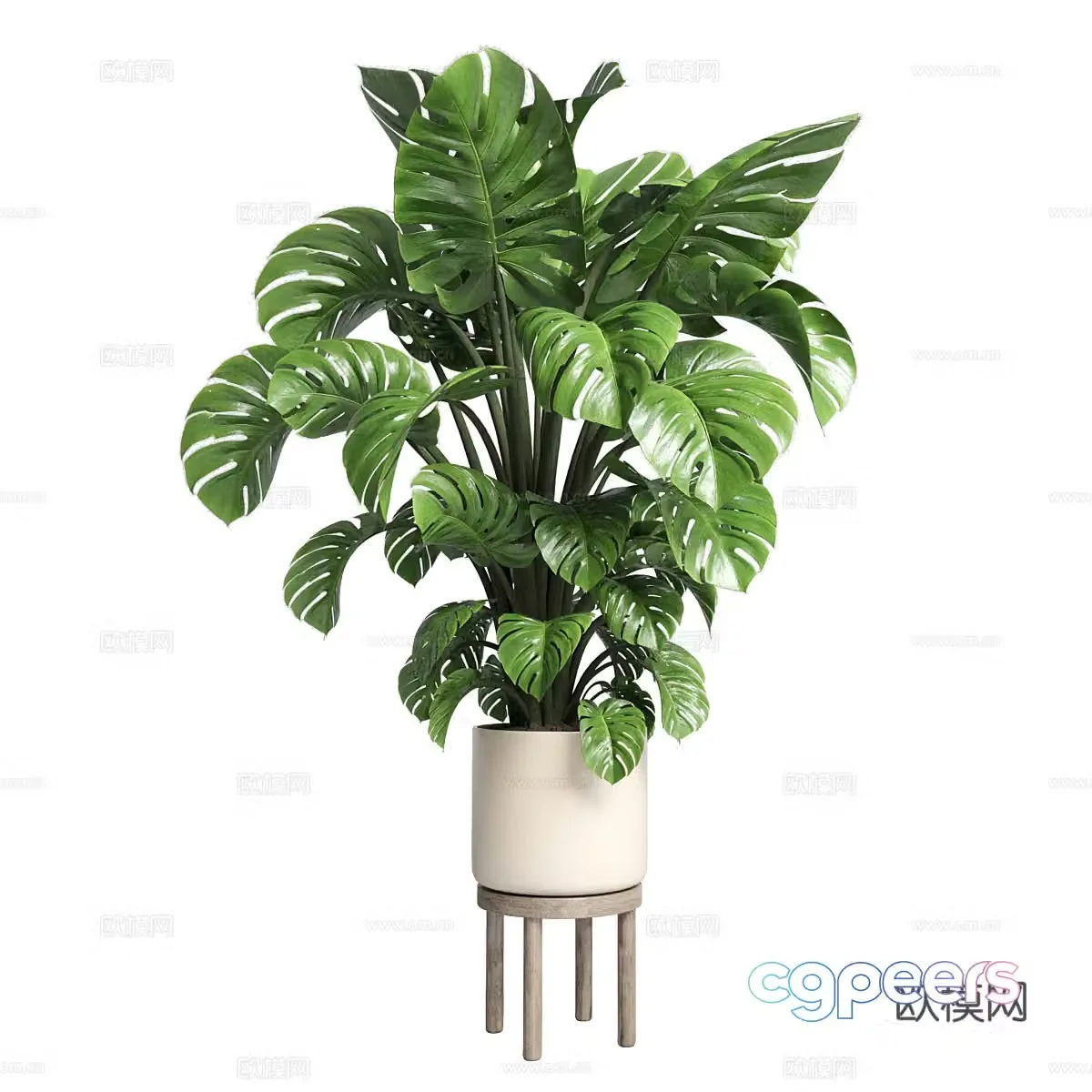 Green plant potted 3D model