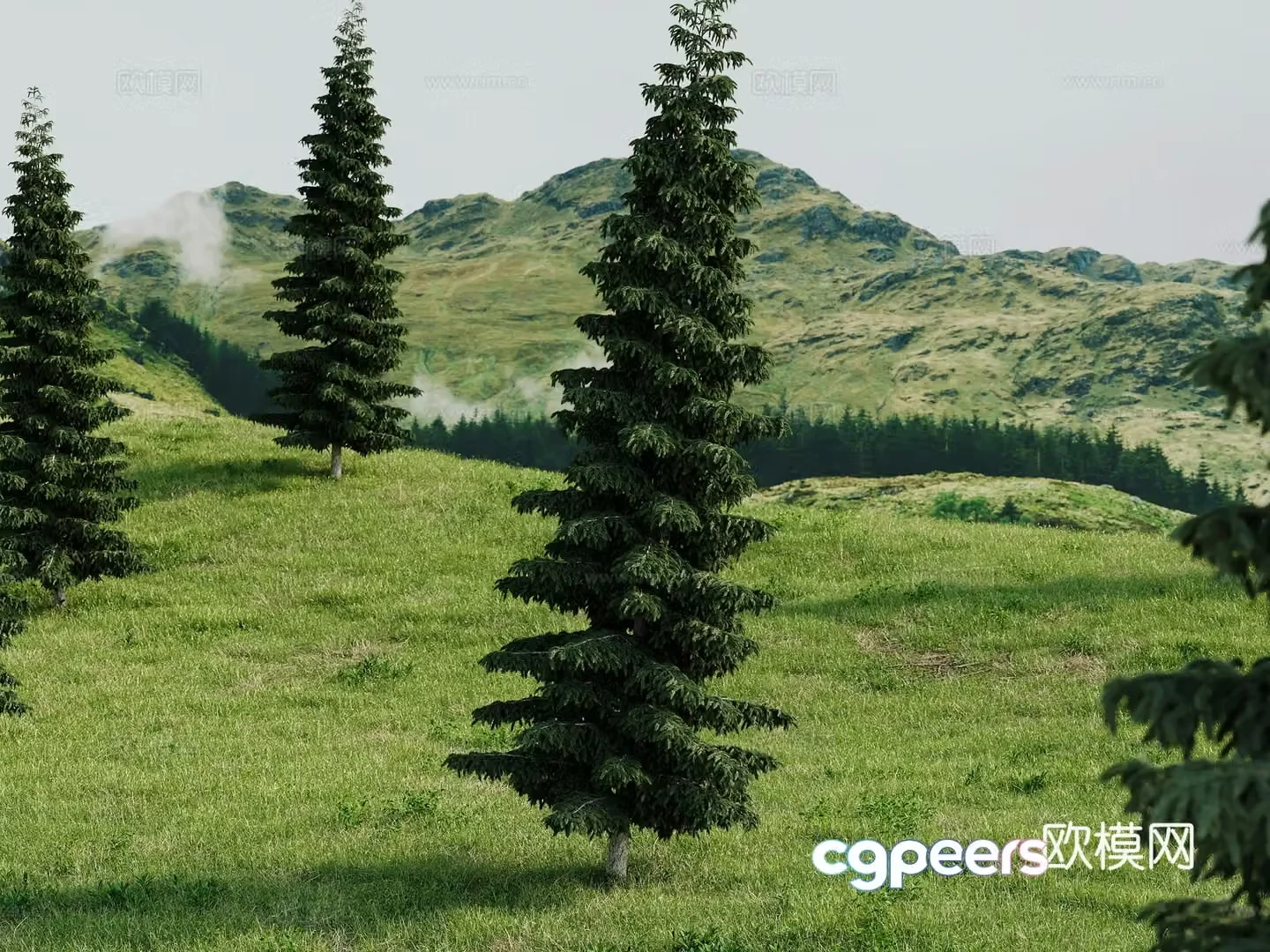 Mountain landscape green meadow mountain forest scenery outdoor hillside 3d model