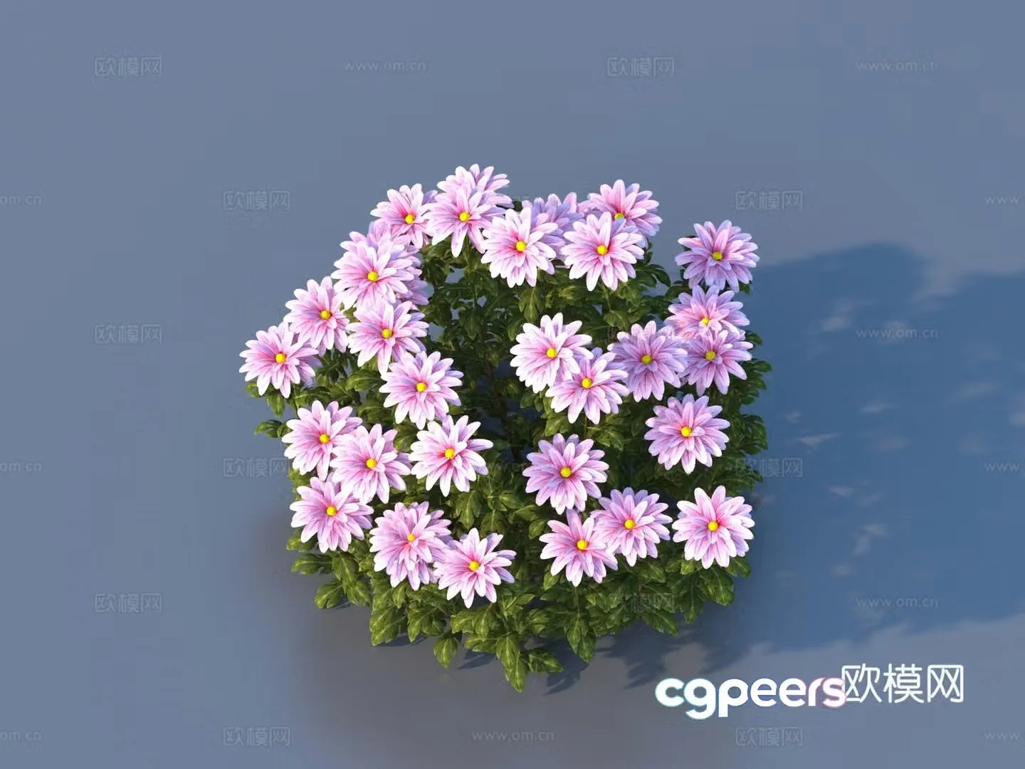 Flowers Wild Flowers Green Plants Flowers 3D Model