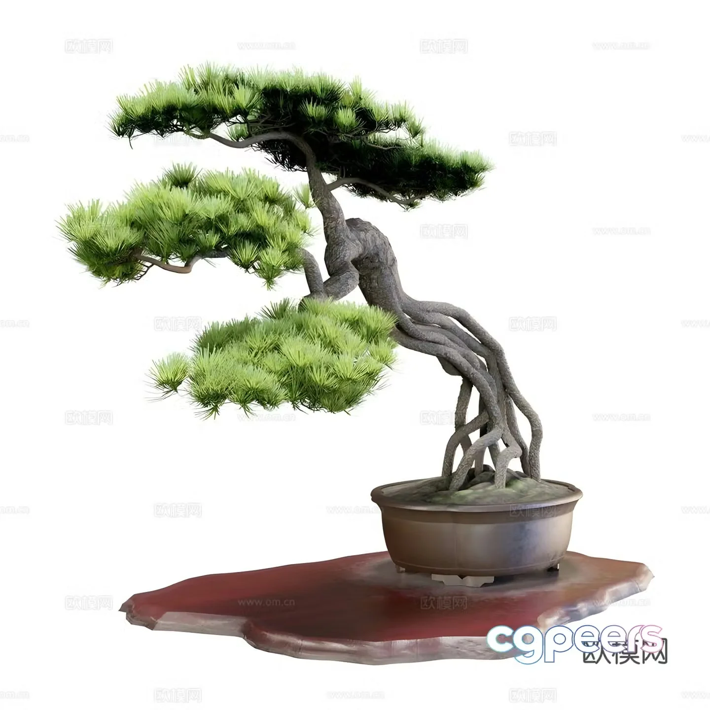 Potted 3D model
