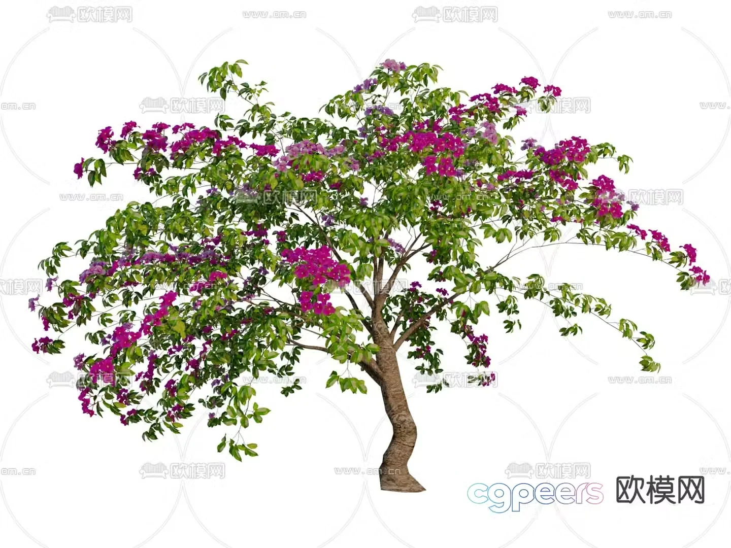 Leaf Flower Tree Garden Tree 3D Model