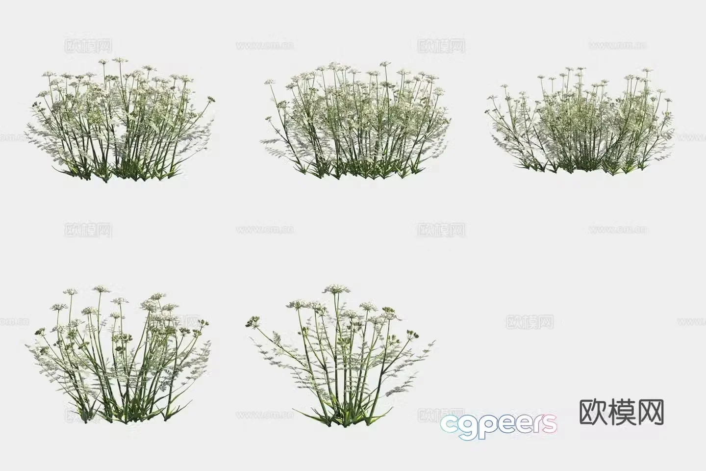 Big flower Aola flower flowers and plants shrubs 3d model