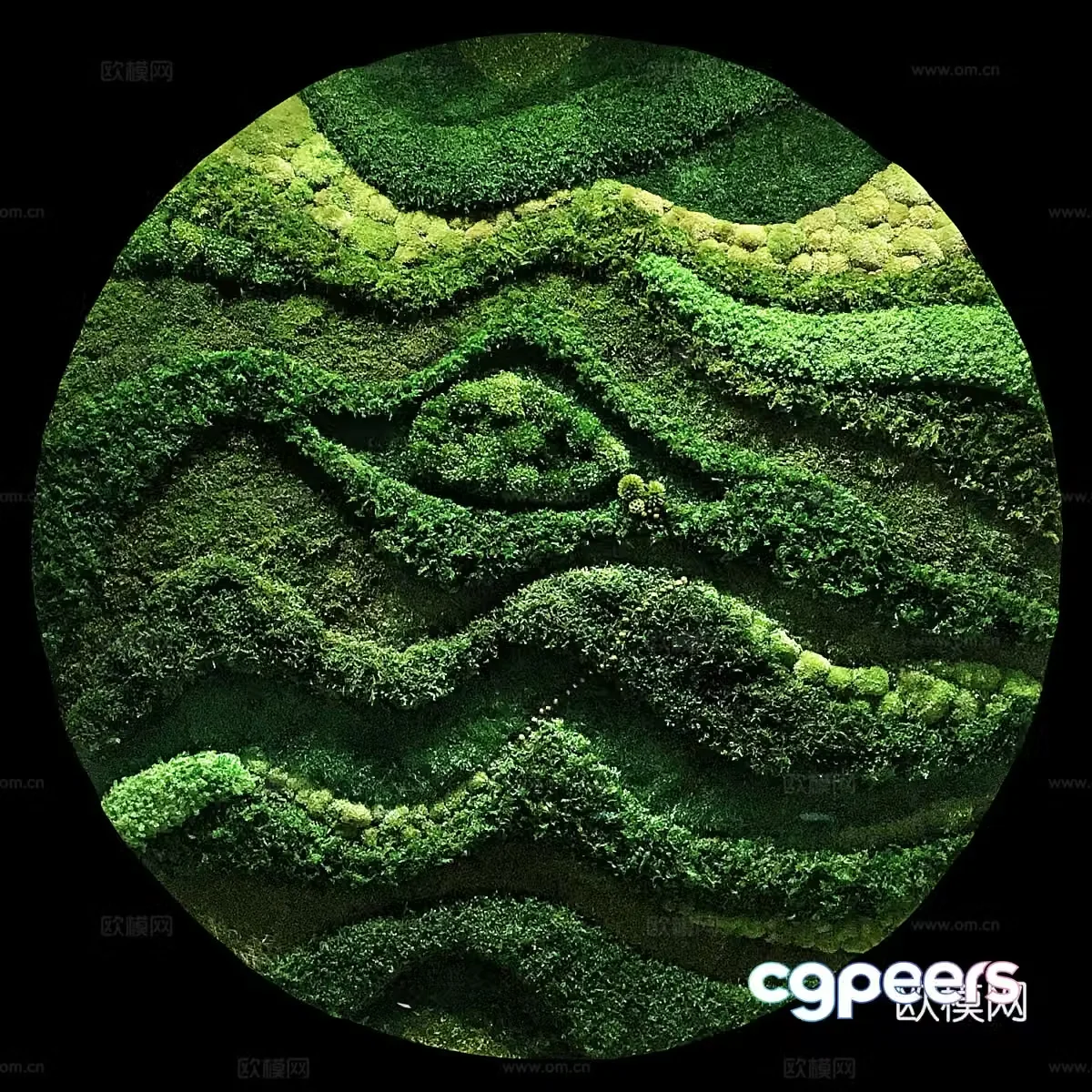 Moss round wall decoration 3d model
